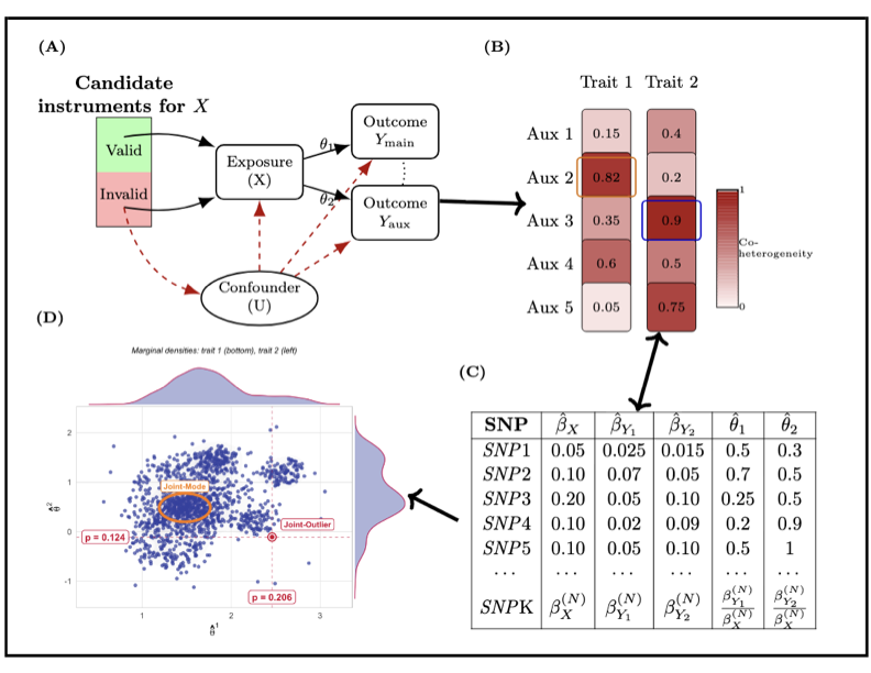 IBMR graphical summary
